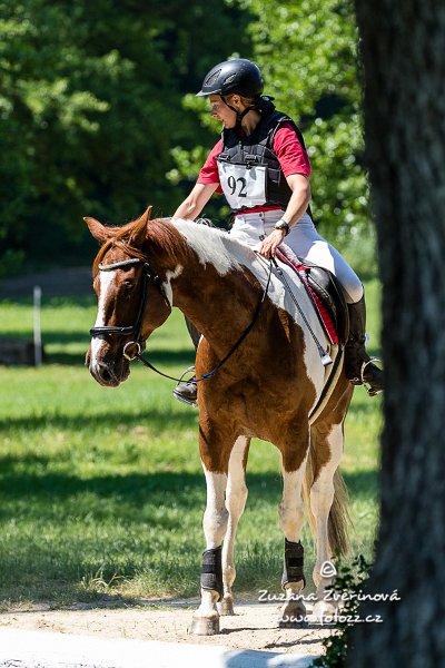 Kupčáková-Best Boy Jane Valley 01.jpg