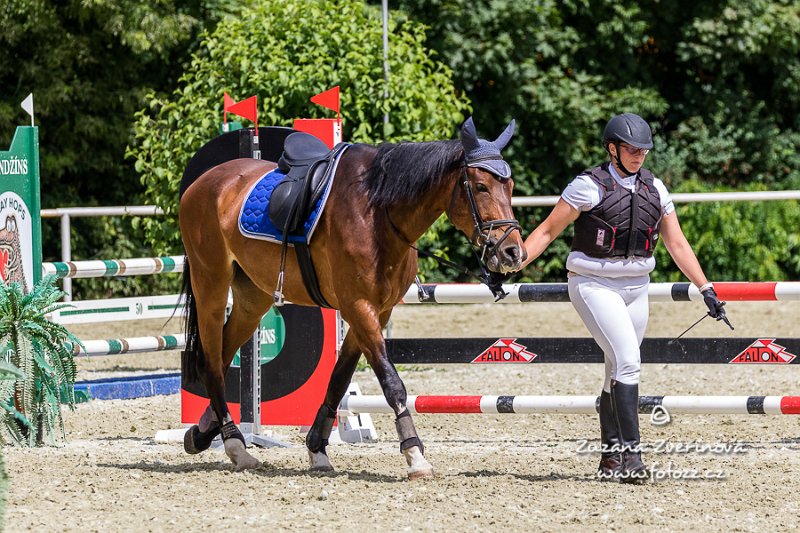 Heinová-Sir De 04.jpg